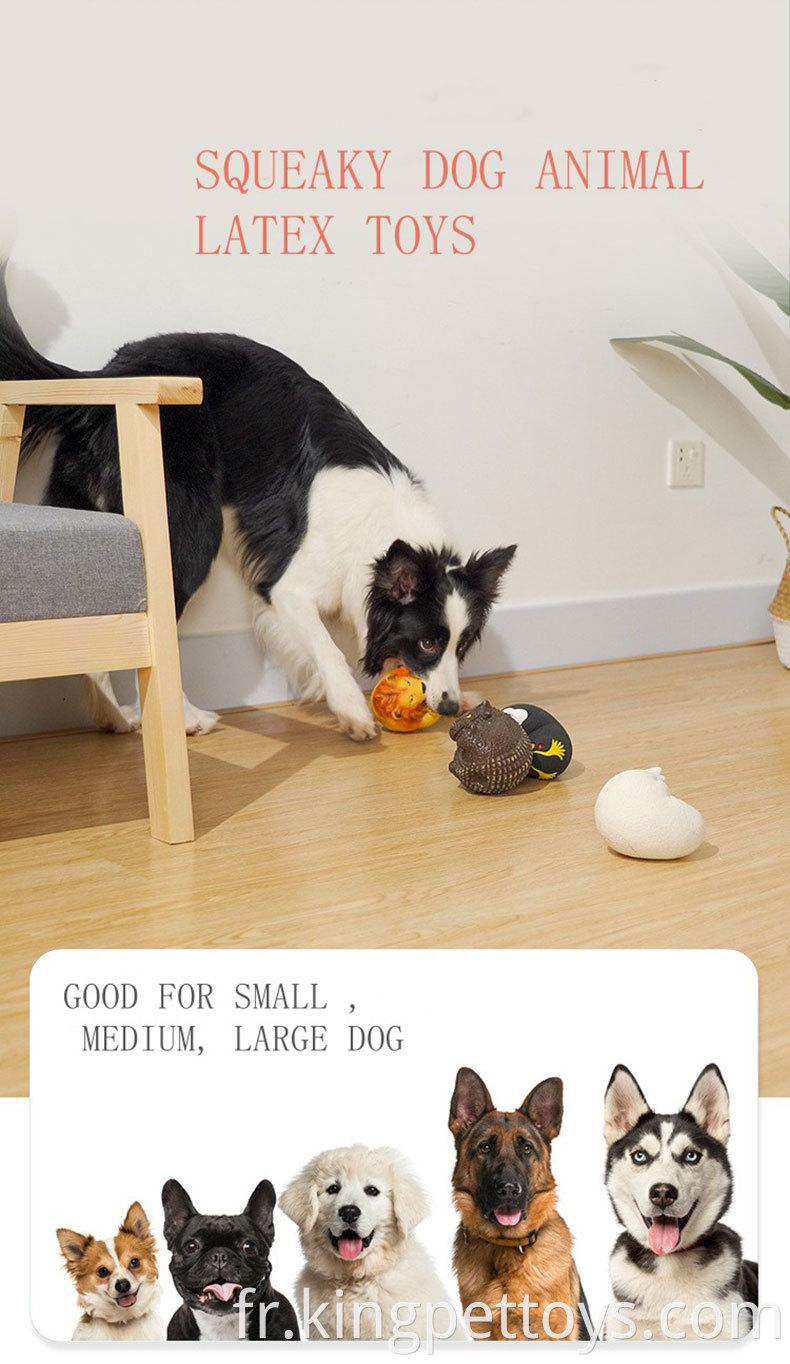 Squeaky Pet Ball Toy